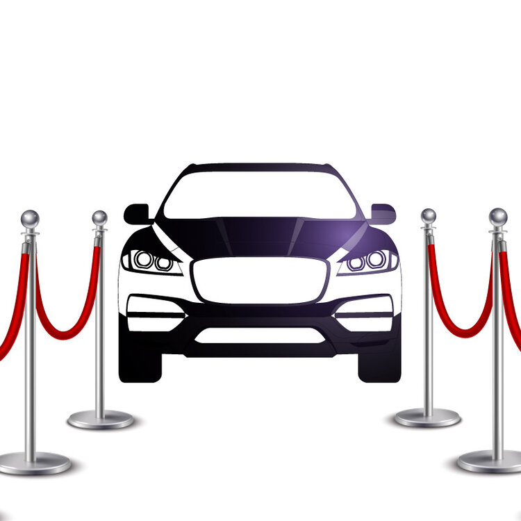 V.I.P. SERVICES